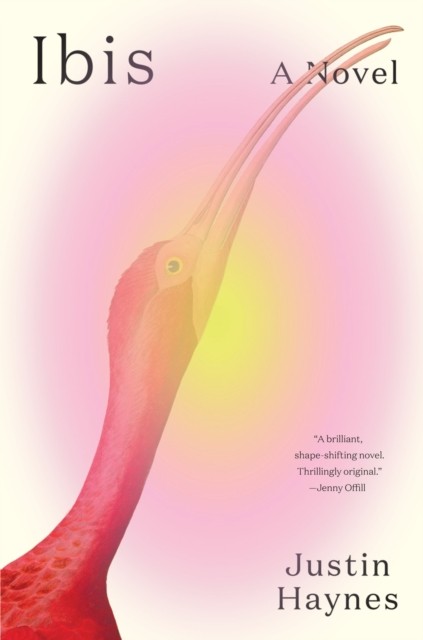 Ibis A Novel by Justin Haynes (Hardback Book)