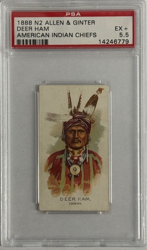 1888 N2 Allen & Ginter #19 Deer Ham