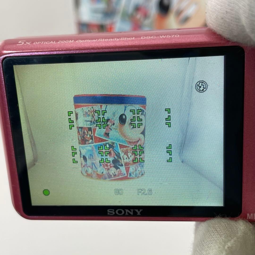 SONY Cyber-shot DSC-W570 Pink 5x Zoom 16.1 MP Digital Camera