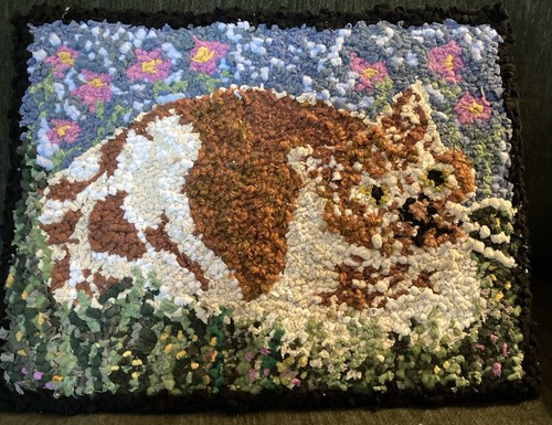 Handmade Hand Hooked Rug Mat Folk Art Cat On Board Wallhanging  13.5 X 10.5”