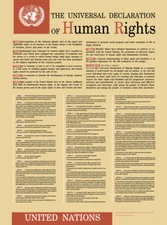 Universal Declaration of Human Rights UN Broadsheet Poster Art Print Remake