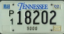 TENNESSEE 2002 license plate "P1 18202" *****9,000 lbs.*****