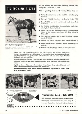 Tic Tac Sims Quarter Horse Bob Miller Ranch Joe Darter Bloodlines Mag Print Ad