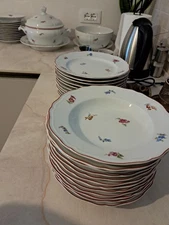 richard ginori servizio piatti