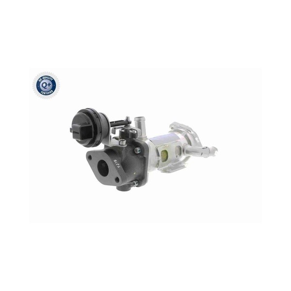 Vemo V42-63-0015 KüHler, AbgasrüCkfüHrung FüR Renault-image