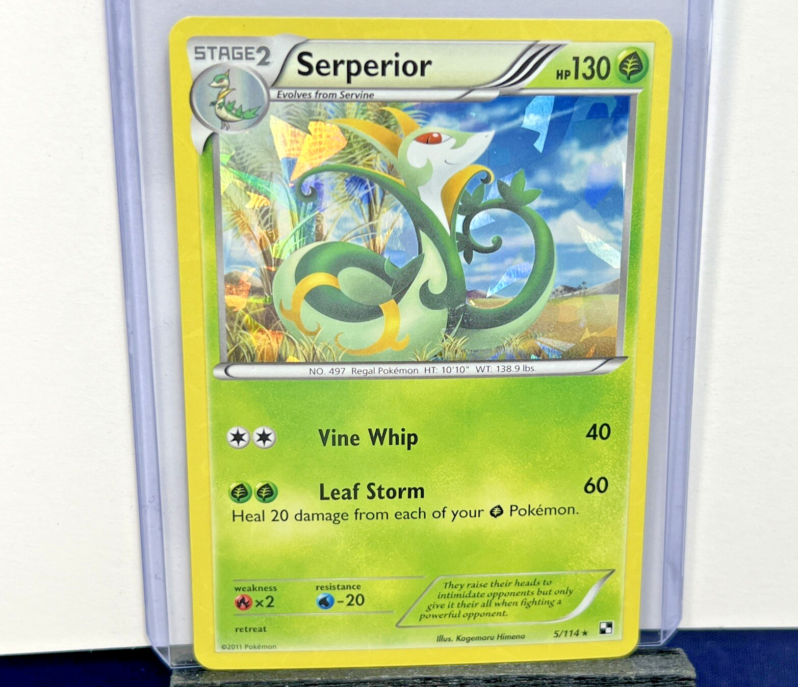 Serperior 5/114 Cracked Ice Holo Rare Black & White Base Set Pokemon Card