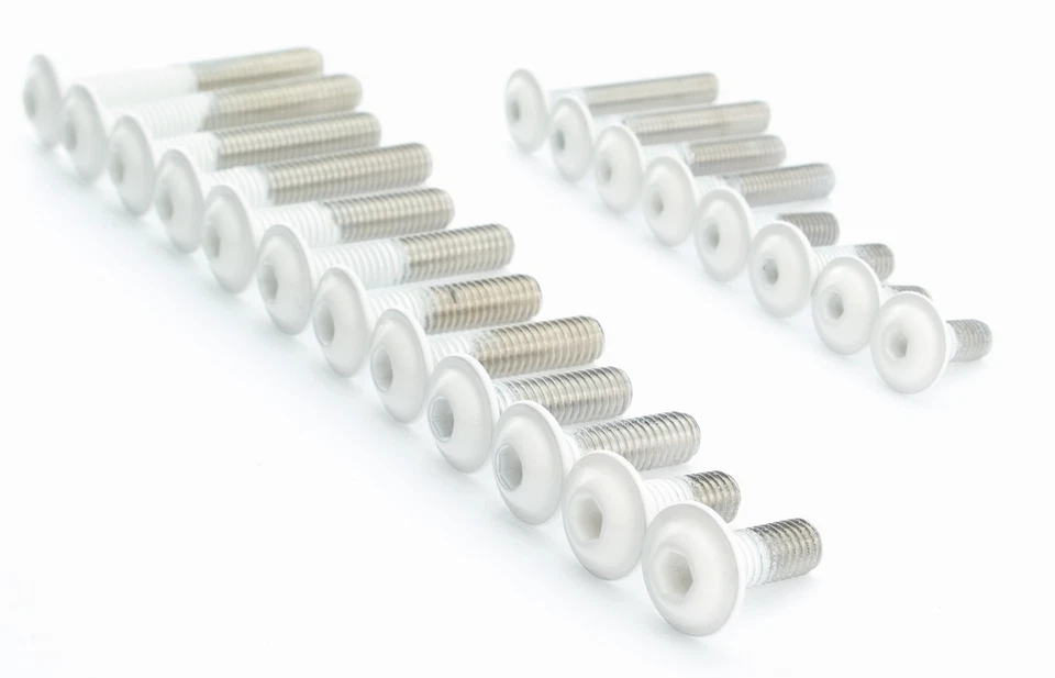 SEGO Tornillos de cabeza de lente acero inoxidable V2A blanco M5 M6 brida A2 ISO 7380 blanco 5 mm 6 mm