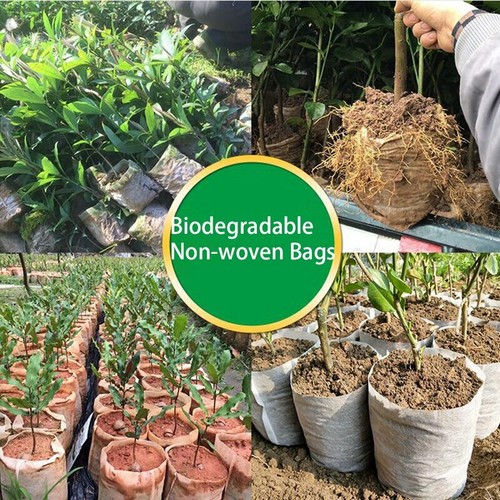 Non-woven Nursery Pots Bags for Flower Plant Growing Biodegradable Eco-Friendly - Picture 12 of 12