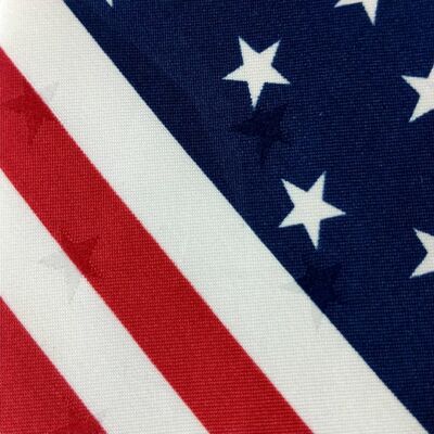 American Flag Patriotic Old Glory Red White Blue Novelty Necktie