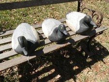 3 Bluebill Duck Decoy Drakes, solid wood, mid-cent., Lake Huron working scaups