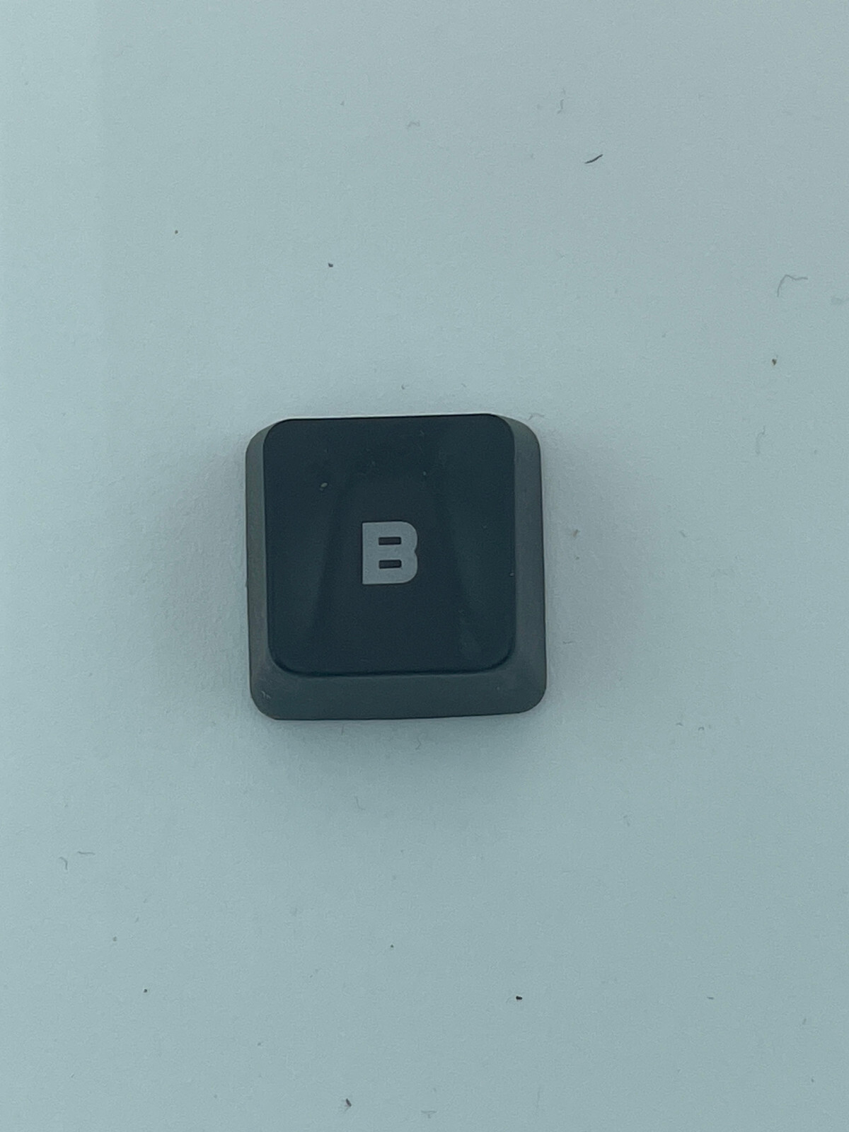 Bild 3 von 111