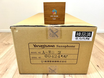 Yanagisawa A-WO2 Eb Alto Saxophone Bronze Brass Craftsmanship w/ Semi Hard Case