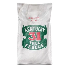 Kentucky 31 Uncoated Tall Fescue 50 Lbs. 20,000 Sq. Ft. Grass Seed