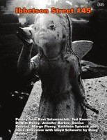 Doug Holder | Ibbetson Street 45 | Taschenbuch | Englisch (2019) | [.]