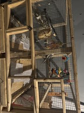 Multicolored foraging parrot and cockatiel bird cage toy NWOB