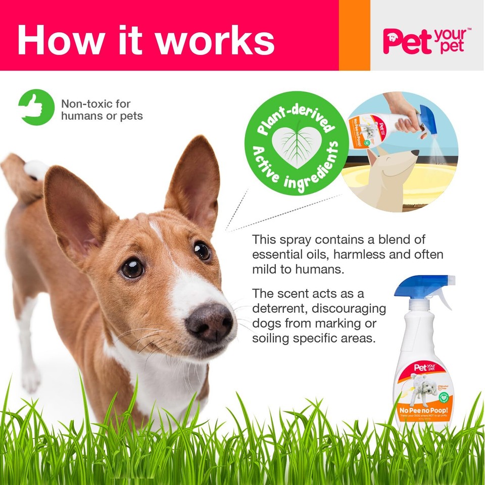 Does Dog Potty Training Spray Work