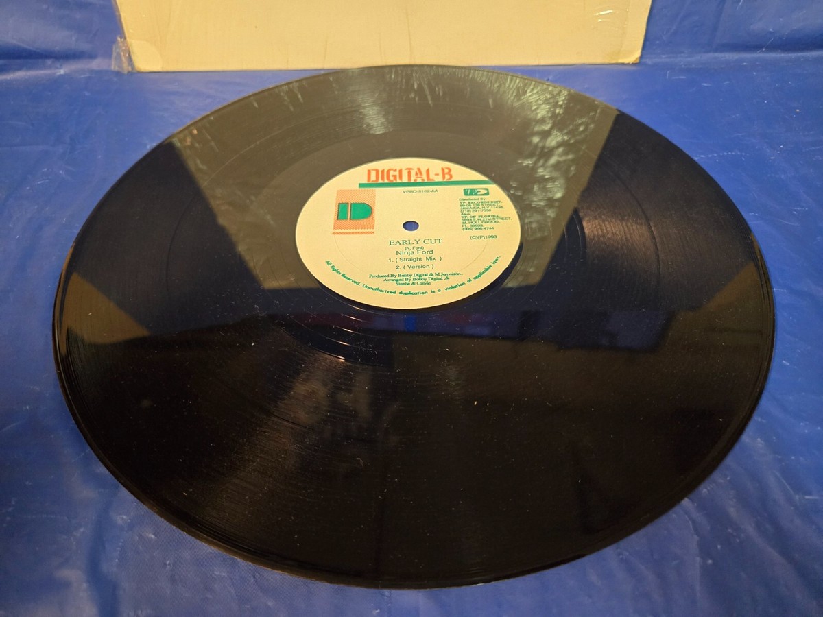 g*n様 TYPHUS レコード 1981 POLITICAL RECORDS Jigsy King / Ninja Ford – Slaughter House / Early Cut - 12