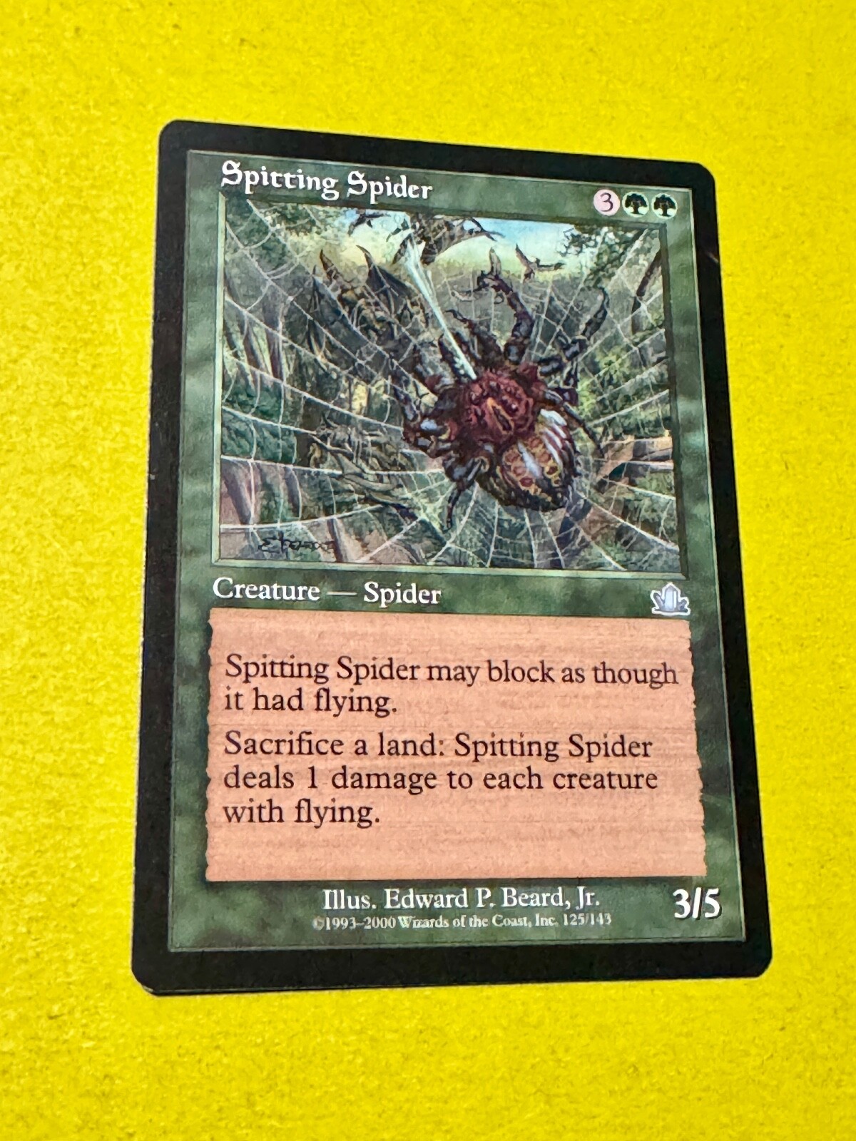 MTG Prophecy --- SPITTING SPIDER --- Uncommon! NM! Magic the Gathering!