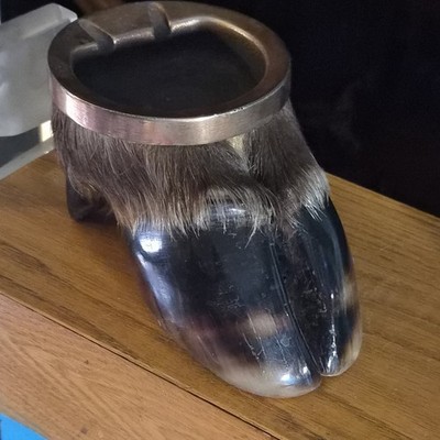 Rare Vintage BULL MOOSE HOOF  ASHTRAY Taxidermy Oddities 