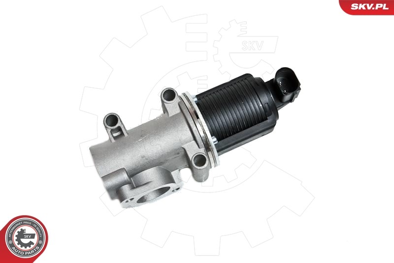✅Fits SKV GERMANY 14SKV006 EGR VALVE  ⭐UK Seller⭐