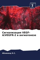 Abhinand K. S. | Signalizaciq VEGF-A/VEGFR-2 W Angiogeneze | Taschenbuch (2022)