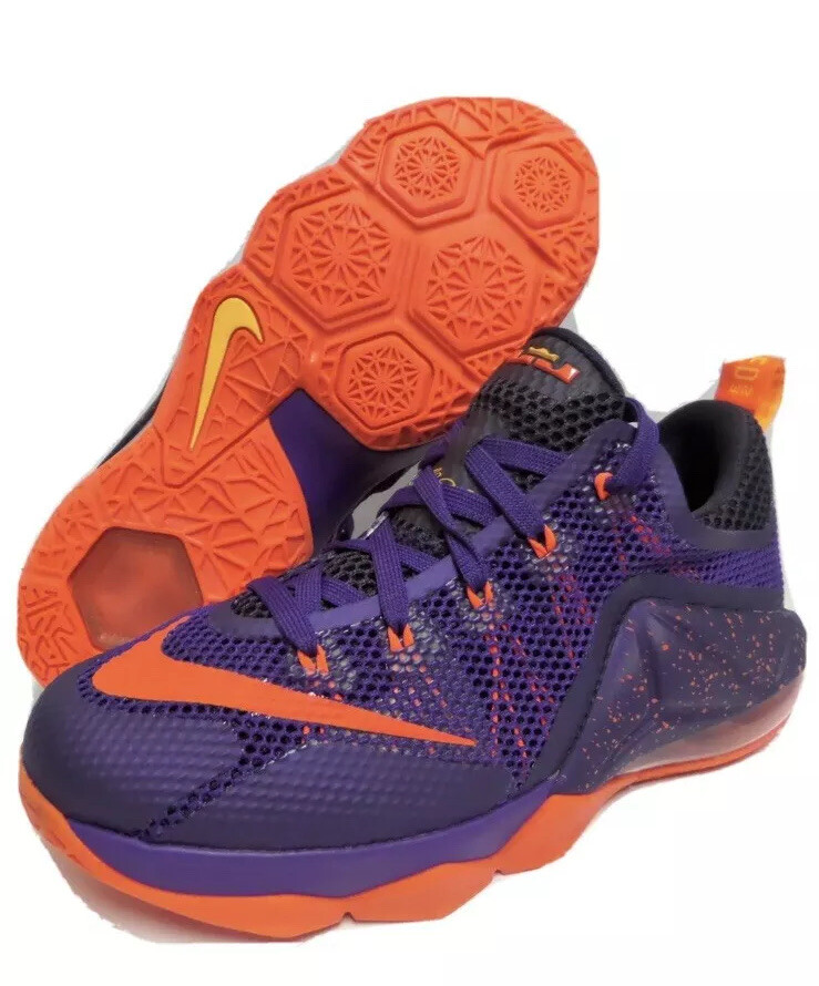 lebron 12 purple