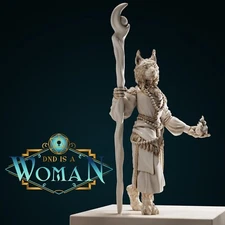 Tabaxi Sorcerer - Dobra Dungeons and Dragons Miniature DnD is a Woman D&D