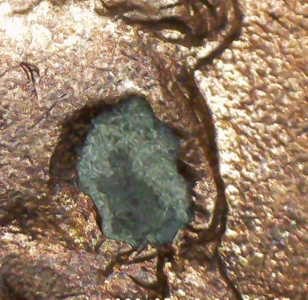 2000-P Lincoln Penny w/Burst Plating Blister. Buy, get a free U. S. coin.
