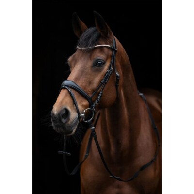 NEW HKM KOPENHAGEN BRIDLE W/REINS, BLACK, HORSE SIZE,  BLING BROWBAND, FREE SHIP