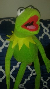 kermit the frog hand