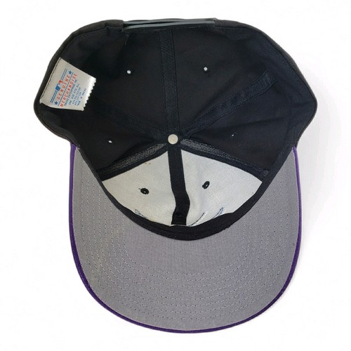 Vintage MLB TAMPA BAY DEVIL RAYS Snapback Baseball Cap Mütze schwarz und lila Krempe - Bild 6 von 7