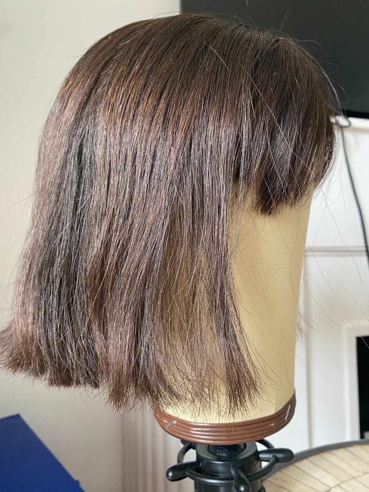 Luxury Human Hair Wig Shani Wigs eBay