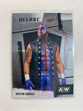 Dustin Rhodes 2022 Upper Deck AEW All Elite Wrestling #63 Card Allure