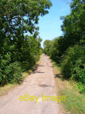 Photo 6x4 Tillery Lane Brookland/TQ9825 One of the many lanes built duri c2006
