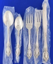 Oneida Raphael Deluxe 5 Piece Place Setting NEW Stainless Knife Spoon Fork Set