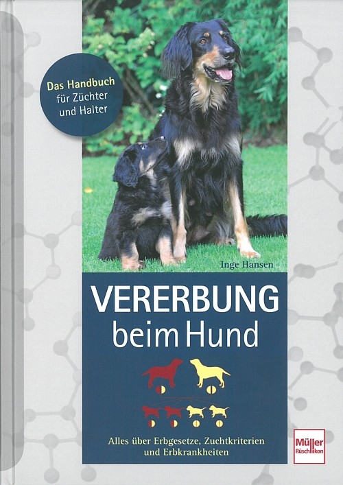 Müller Rüschlikon Vererbung Beim Hund - Bild 3