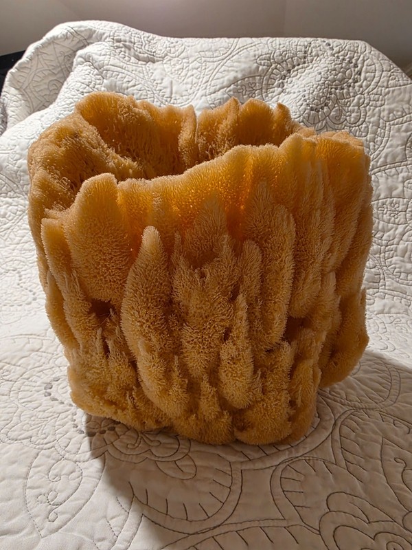 Real Sea Sponge Decorative Vase Coastal Nautical Beach Home Decor Tarpon Springs