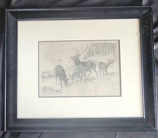 Antique James Carter Beard engraving, framed