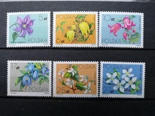 Timbres poste Pologne Fleurs