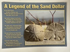 Postcard A Legend of the Sand Dollar  Post Card