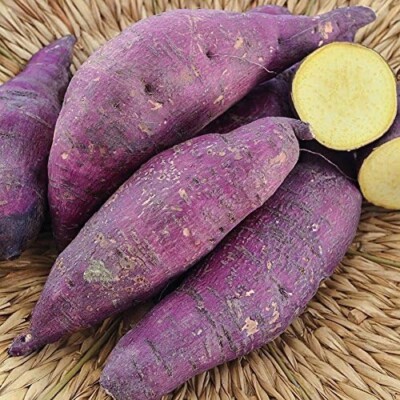 potato Murasaki Purple Sweet Potato Slips (3) | eBay