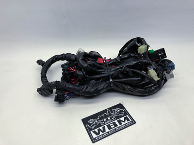 Honda Hornet CB600 CB 600 (1) PC41 Main Wiring loom Kabelbaum