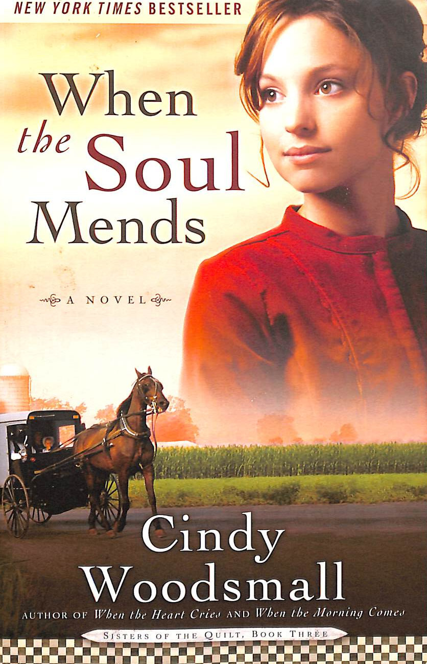When the Soul Mends: Book 3 in the Sisters of the Quilt Amish Series: 03 (Sist..
