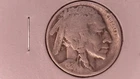 1924 D Buffalo Nickel