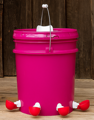 #ad Automatic Chicken Waterer Valve Feed Design No Spill Container 5 Gal PINK $45.00