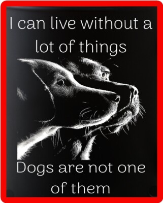 Very Nice Dog I Can Live Without Refrigerator Magnet