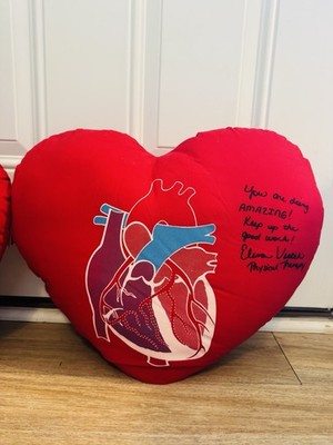Heart-Shaped Plush Decorative Pillow Anatomical Heart, Customized, Red/Blue