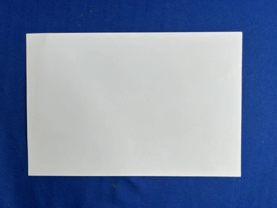 2004 2005 Minnesota Timberwolves танец команды держа суда фото карта 9 X 6 - Изображение 2 из 2