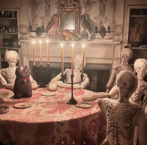 John Derian Target Skeleton Bone Pillow Long Lost Friend Halloween Threshold 63" - Picture 6 of 15