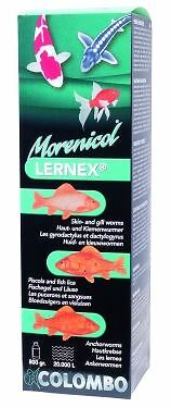 colombo goldfish care